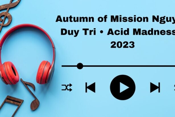 autumn of mission nguyen duy tri • acid madness • 2023
